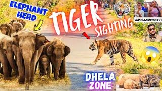 Three time TIGER sighting , ELEPHANT herd with baby's & TUSKER  guest full enjoyed Jungle Safari.