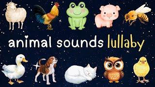 Animal Sounds Lullaby | Learning Song | Nursery Rhymes for Kids | Little Tiger TV