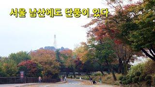 서울 남산에도 단풍이 있습니다  Mt. Namsan also has fall foliage