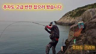추자도 최고급 반찬!! 비싼놈들로 다양하게 나온다!! (fishing)