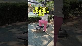 언니하는건 뭐든 다 따라하는 둘째 #육아브이로그 #놀이터 #자매일상