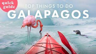 14 DINGE auf den GALAPAGOS INSELN die du nicht verpassen willst (Quick Guide)