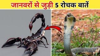 Part-6 Some Amazing Facts About Animals In Hindi |RR Factz| #shorts