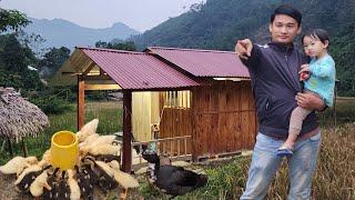 Harvesting bamboo shoots at the end of the season, raising ducks / single father life