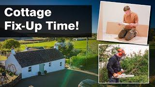 Battling Damp & DIY Wardrobes! | Cottage Life Episode 10 - Our Move to the Countryside