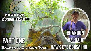 Hawk Eye Bonsai Garden Tour Part 1 - Bonsai-YEAH!