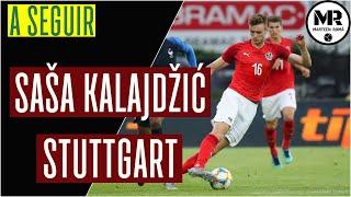 SASA KALAJDZIC | ADMIRA WACKER | Goals, Assists & Skills