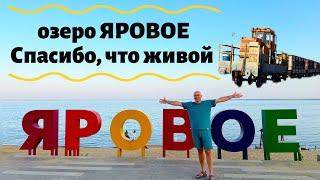 Курорт ЯРОВОЕ: спасибо, что живой! Как выжить в суровых испытаниях Алтайского края 