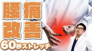 【1日60秒】自分で 腰 の痛みを根本から改善するストレッチ【整体】