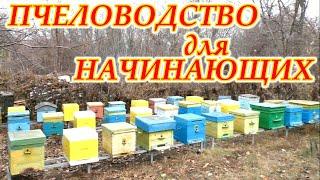 Пчелы начинающим, - это пасека на Веселой Долине.