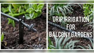 Drip irrigation system for balcony Gardens | Trustbasket