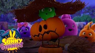  Sunny Bunnies - HAPPY HALLOWEEN! | SEASON 5 COMPILATION | Spooky Season Cartoons For Kids