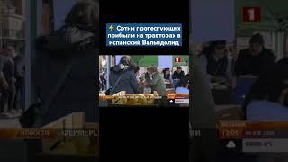 Сотни протестующих прибыли на тракторах в испанский Вальядолид. #фермеры #протесты #ес #shorts