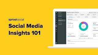 Social Media Insights 101