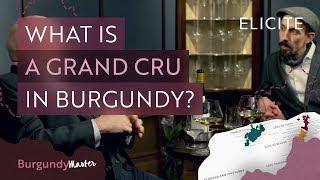 What Is A Burgundy Grand Cru Wine?