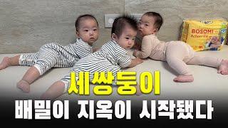 세쌍둥이 배밀이 지옥ㅣ기어다니면 더 심하겠지?ㅣ보솜이 메가드라이 액션핏 기저귀ㅣ삼둥이 현실 육아 24시간 ㅣ7개월 아가 8개월 아기ㅣ가정보육ㅣ육아 브이로그ㅣ출산장려ㅣVLOG