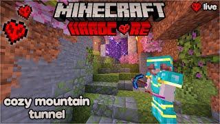 ️ Cozy Mountain Tunnel!  | Minecraft Hardcore 1.21.4 Stream #8