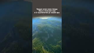 Самый малочисленный коренной народ Красноярского края, выделившийся в этнос только в 2002 году