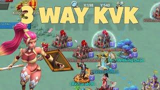 Lords Mobile - Latest KVK action. Trying to find targets who will take rallies. Big hits