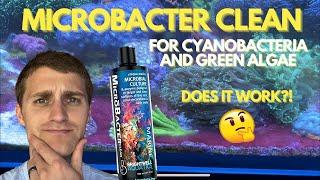 Microbacter Clean for Green Algae and Cyanobacteria- Does it Actually Work?