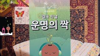 [타로카드] 결국 만날 운명의 짝