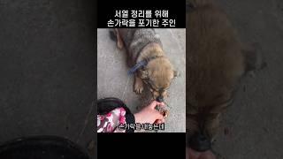 "어디 끝까지 가보자.." 댕댕이 서열정리를 위해 손가락 내어준 주인