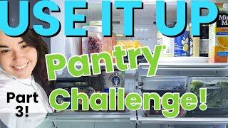 Pantry Challenge Update pt. 3! | Use it Up Shelf Cooking