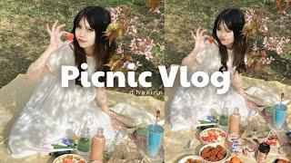 Picnic Vlog | Mùa xuân chính thức  | Du Học Phần Lan | harinn