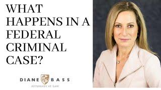 WHAT HAPPENS IN A FEDERAL CRIMINAL CASE?