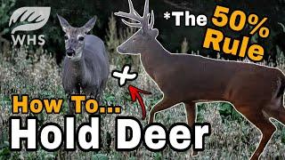 How We Build Deer Sanctuaries