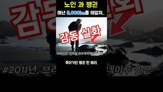 죽어가던 펭귄을 구해줬더니... 8개월씩 함께 살러 오는 녀석