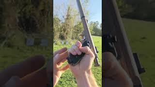 Silenced Ruger 22