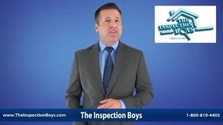 The Inspection Boys Intro