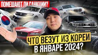 Обзор ЦЕН на АВТО ИЗ КОРЕИКакие машины везут в РФ 2024?#bmw #kia #volkswagen