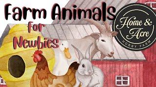 Hobby Farm Animals For Beginners and Why they are so Perfect