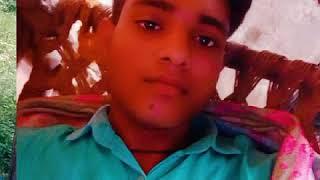 Vikash Diwakar
