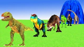 Paint Animals T-Rex Carnivores & Herbivores Dinosaurs Size Comparison 3D Fountain Crossing Cartoon