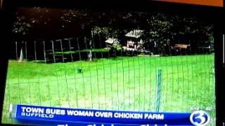 The Chicken Chick's Backyard Chickens, Prime Time News Story