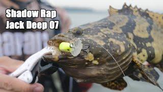 Grouper fishing with the new Rapala Jack Deep 07