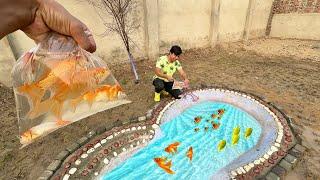 Pool Me ColourFul Fishes Chor Di 