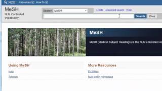 Selecting Medical Subject Headings for Your PubMed Search