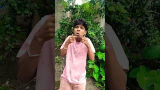 How I Cured a Bug Bite with Yogurt in the Wild | Survival Hacks #1589178