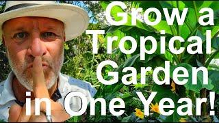 Tropical Gardens UK: How to Create and Grow an Exotic Jungle Garden in One Year