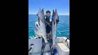 Miami, Florida, USA Deep Freediving Spearfishing ( Pesca Submarina )