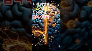 치매 예방에 무조건 먹어야 하는 음식 4가지#건강 #건강정보 #알츠하이머