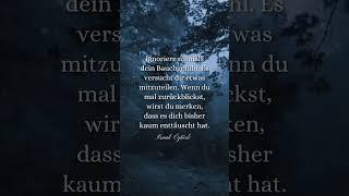 #liebe #motivationsspruch #sprüche #weisheit #motivationszitate #zitate #lebenszitate