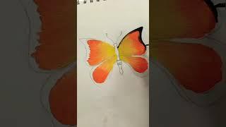 Butterfly #drawing #easypainting