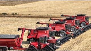 Harvest 2023 CanMar Farms Saskatchewan 