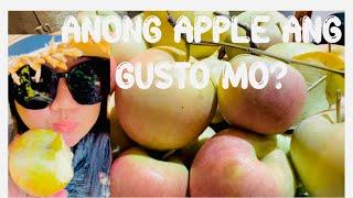 PICKING FUJI & GOLDEN DELICIOUS APPLES || Terhune Orchards , N.J. #applepicking #fruit #apple #fun