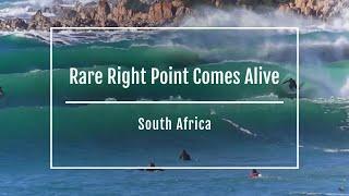 South African's rare Right Point comes alive